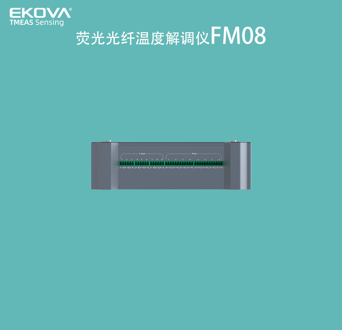 熒光溫度表FM08-細節2 拷貝