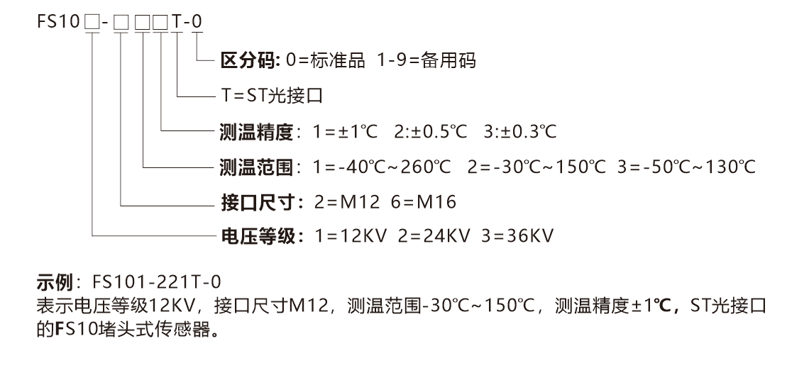 FS10-選型說明(míng)