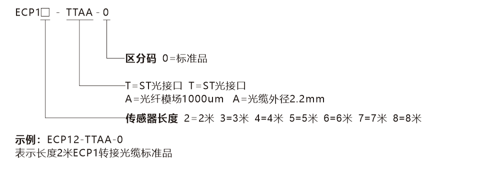 ECP1-選型說明(míng)