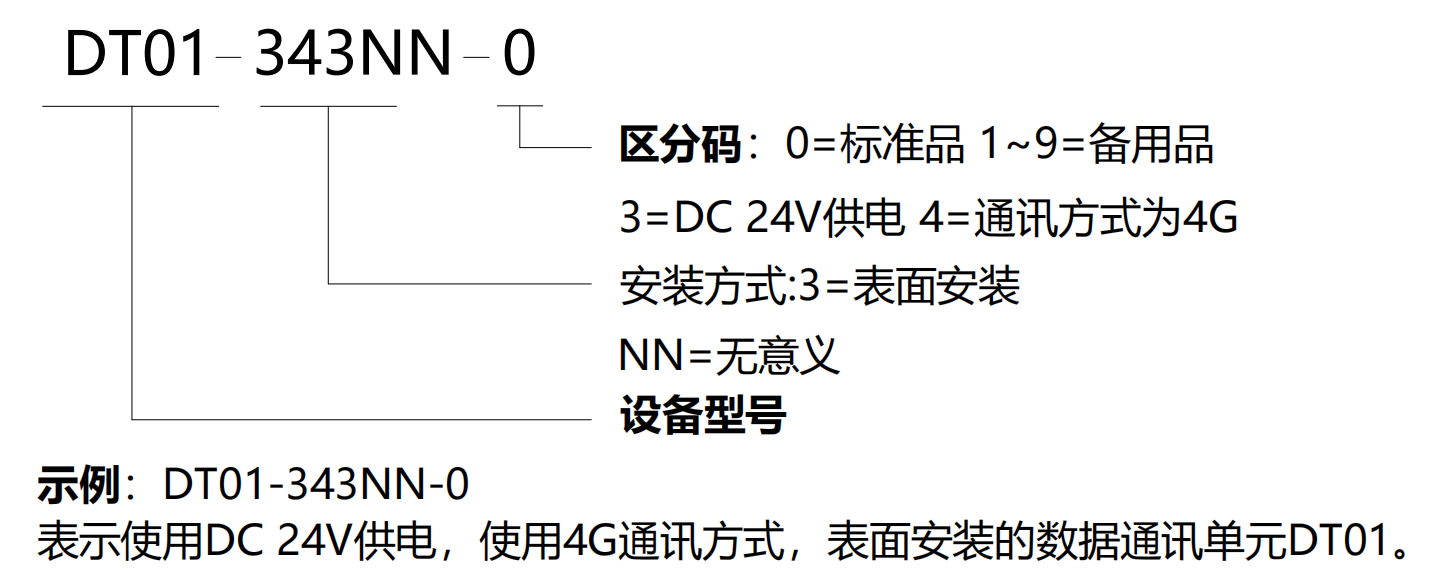 DT01-選型說明(míng)