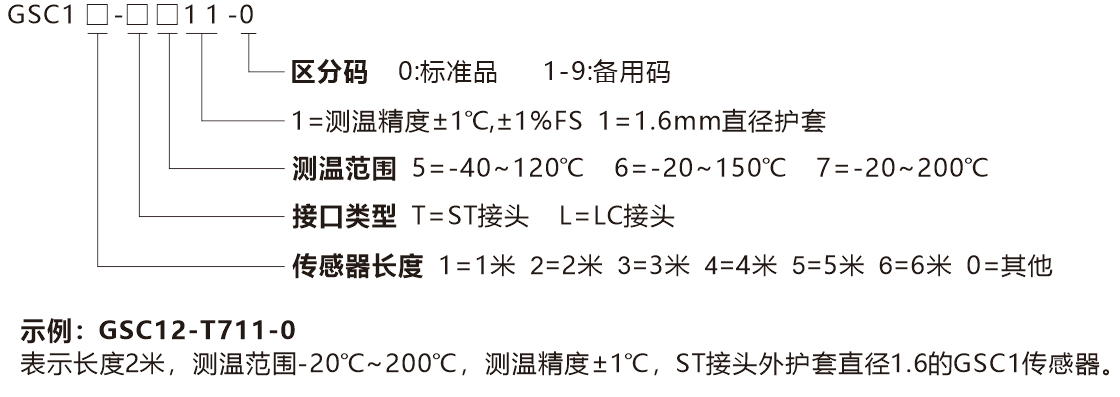 GSC1-選型說明(míng)