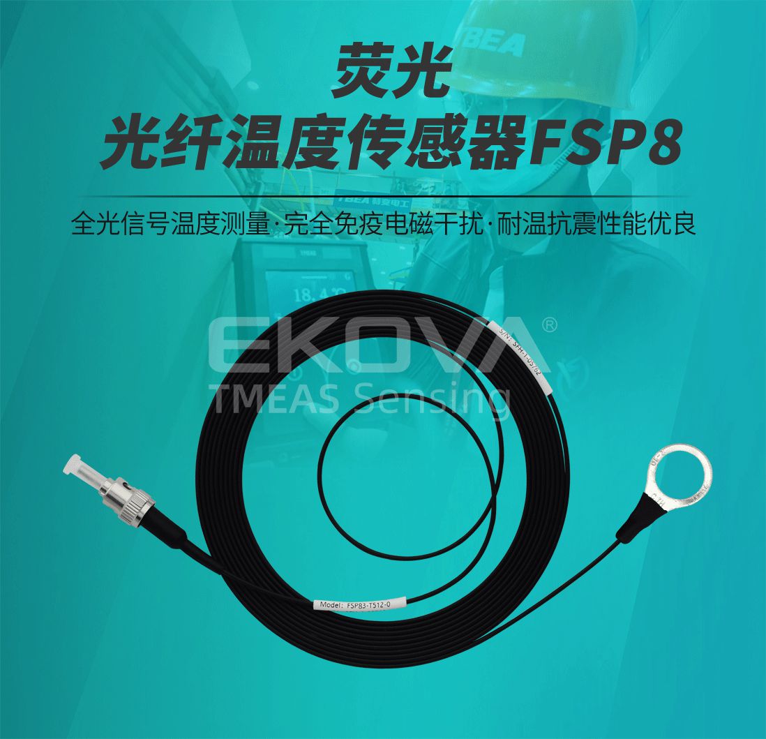 熒光光纖溫度傳感器(qì)FSP8