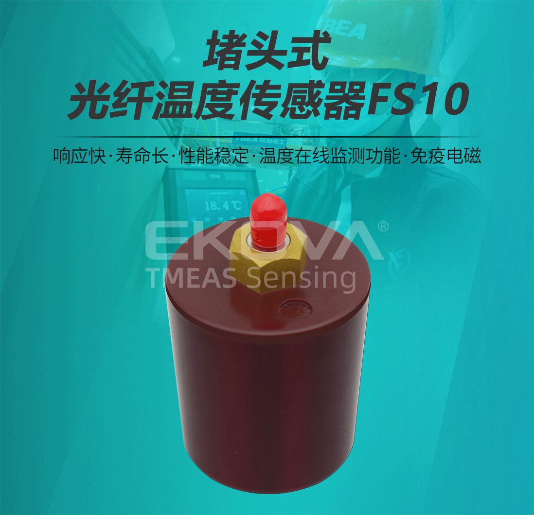 堵頭式光纖溫度傳感器(qì)FS10