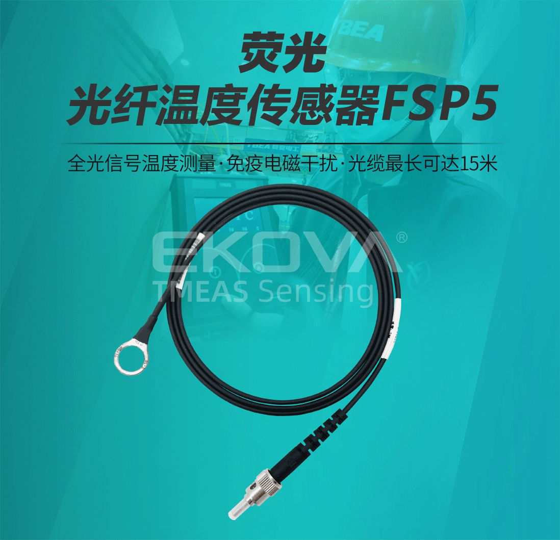 熒光光纖溫度傳感器(qì)FSP5