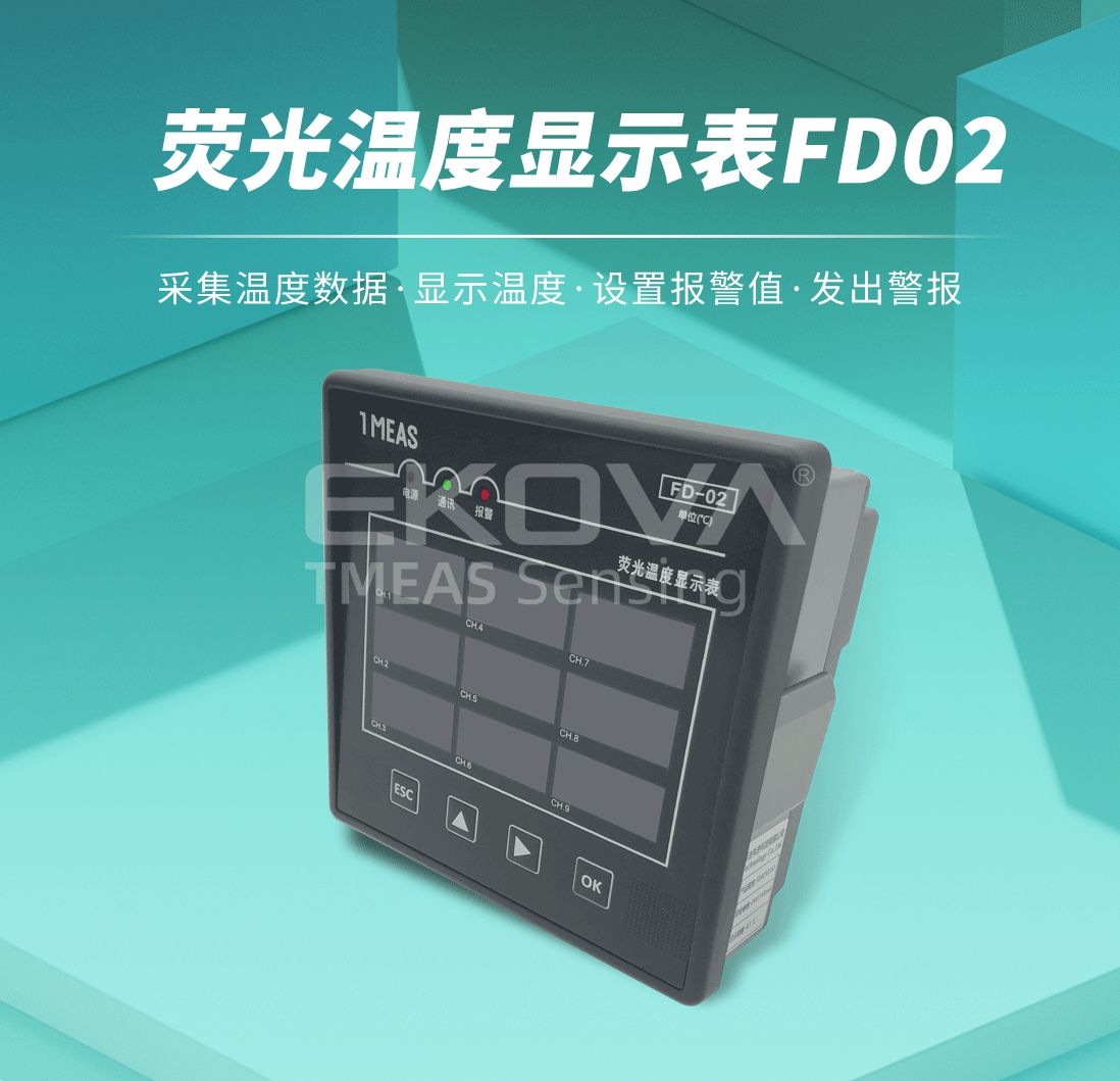 熒光溫度顯示表FD02