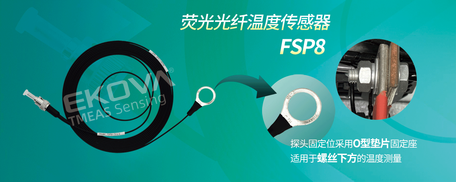 電(diàn)機FSP8-輪播