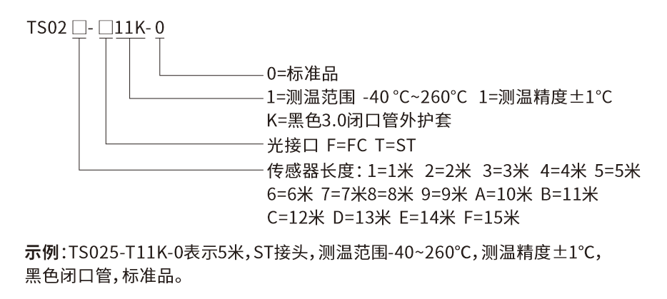 TS02-選型說明(míng)